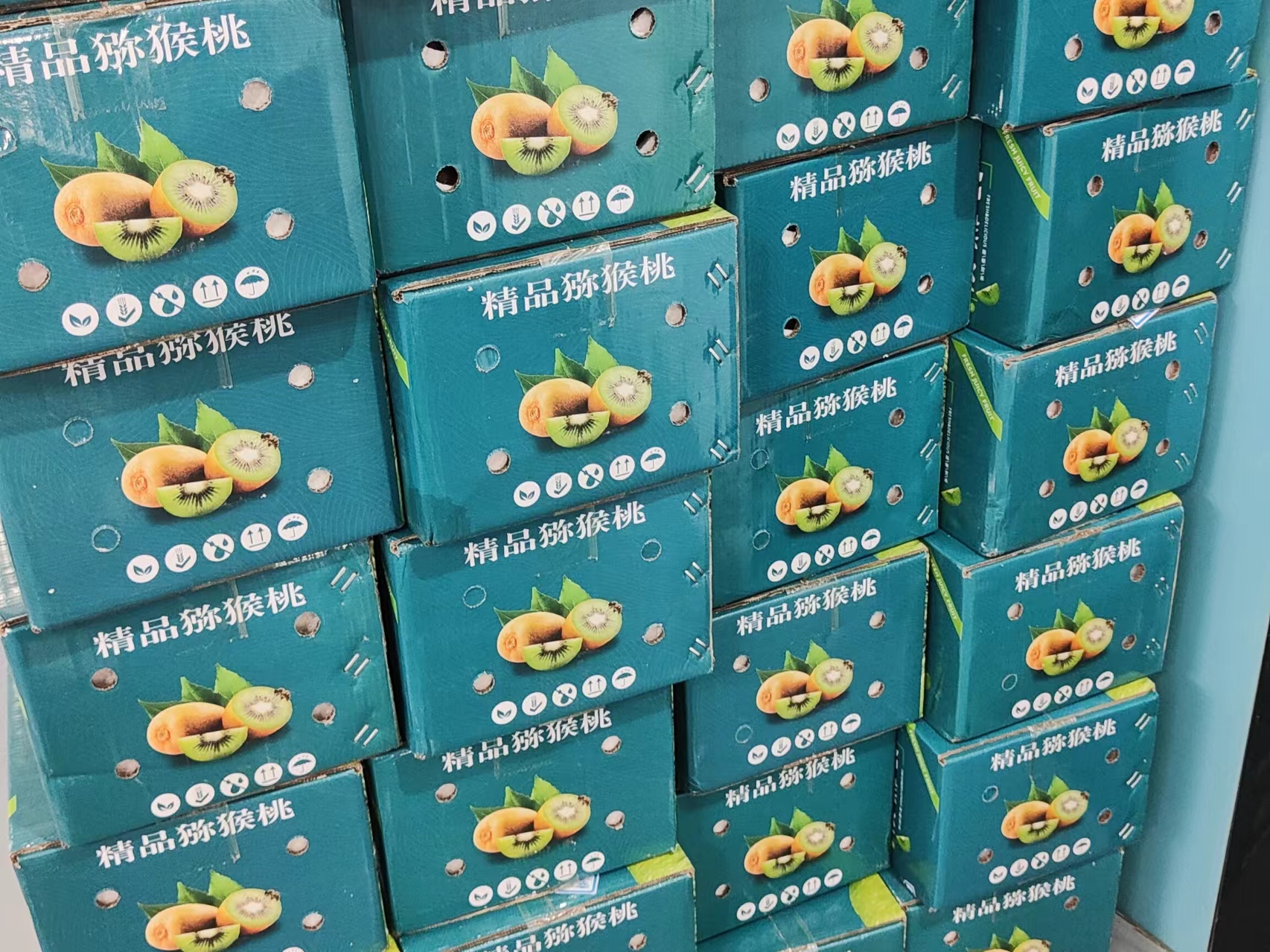 婦女節(jié)致敬女性力量：有你，“獼”足珍貴